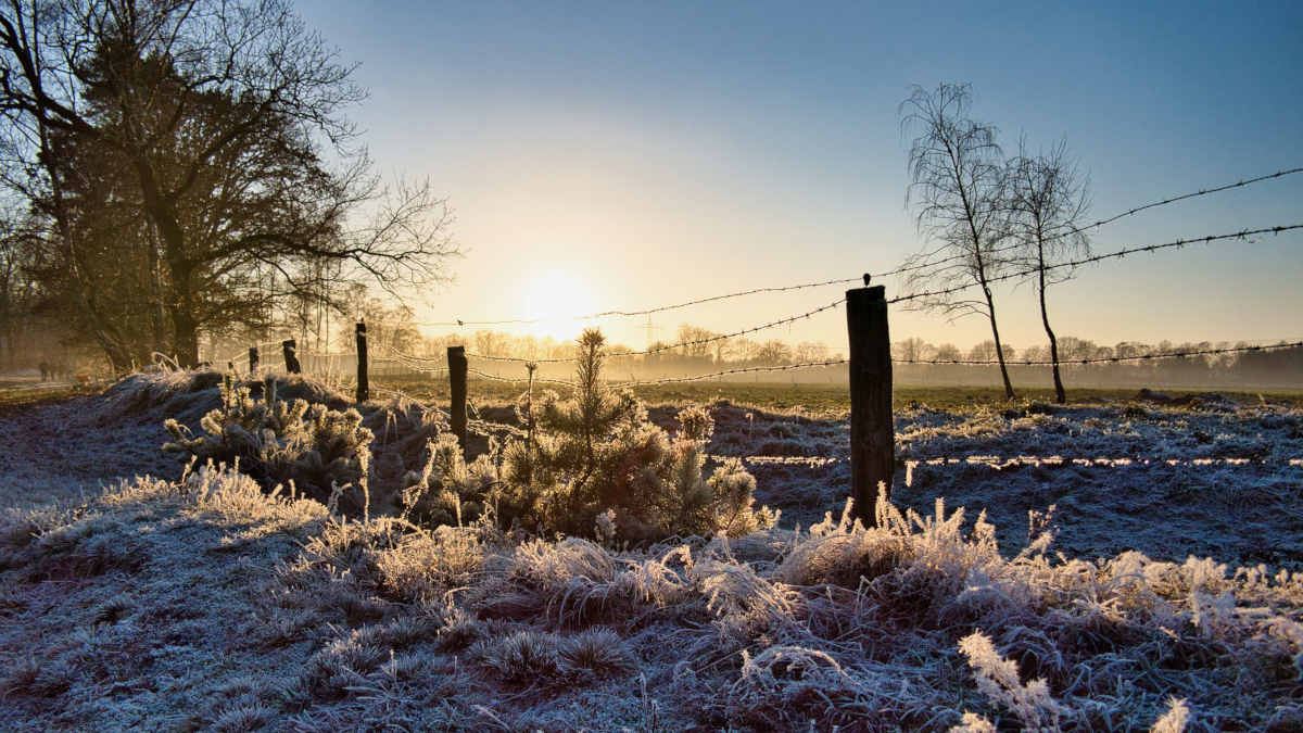 Wintersonnenwende – der kürzeste Tag des Jahres - AIDAradio